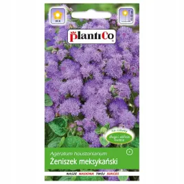 zeniszek-meksykanski-tetra-blue-mink-nasiona-plantico