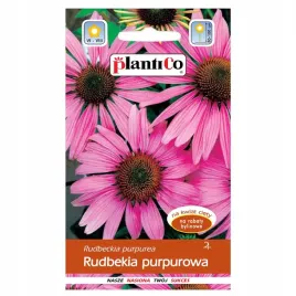 rudbekia-purpurowa-nasiona-kwiatow-wabi-motyle-plantico