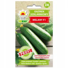 ogorek-szklarniowy-melany-f1-wczesny-partenokarpiczny-nasiona