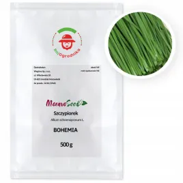 szczypiorek-bohemia-500g-szybko-rosnie-wieloletni-wegana