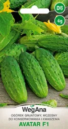 ogorek-avatar-f1-odmiana-odporna-na-maczniaka-4g-nasiona-wegana