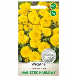 nagietek-karlowy-candyman-zolty-nasiona-2g-wegana