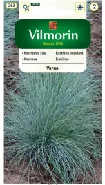 kostrzewa-szara-nasiona-trawy-ozdobnej-srebrzyste-kwiatostany-vilmorin