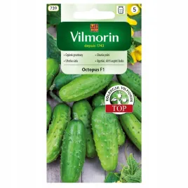vilmorin-ogorek-octopus-f1-gruntowy-nasiona-duzo-nasion