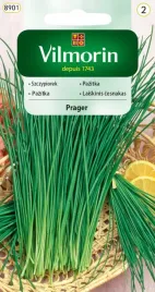 szczypiorek-ogrodowy-dobrze-zimuje-prager-2g-vilmorin