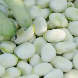 bob-windsor-bialy-wysoki-nasiona-50g-plantico