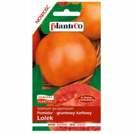 pomidor-karlowy-lolek-nasiona-do-dlugiego-przechowywania-plantico