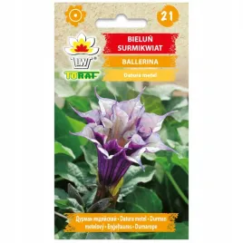 bielun-surmikwiat-ballerina-nasiona-kwiatow-bardzo-ozdobna-toraf