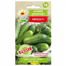 ogorek-orfeus-f1-gruntowy-partenokarpiczny-nasiona-2g-toraf