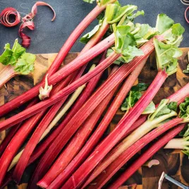 rabarbar-victoria-wieloletni-nasiona-rabarbaru-toraf