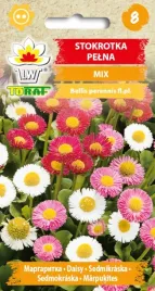 stokrotka-pelna-mieszanka-mix-kolorow-nasiona-stokrotki-toraf