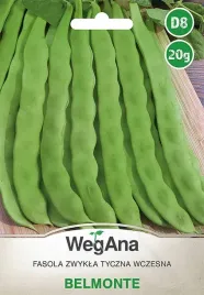 fasola-tyczna-zielona-wczesna-belmonte-nasiona-fasoli-20g-wegana