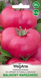 pomidor-malinowy-warszawski-do-tunelu-i-gruntu-nasiona-wegana