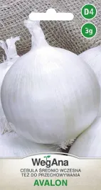 cebula-avalon-biala-nasiona-cebuli-warzyw-wegana