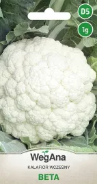 kalafior-beta-bardzo-wczesny-nasiona-kalafiora-wegana
