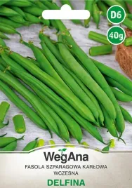 fasola-zwykla-zielona-straki-bez-lyka-karlowa-delfina-wegana