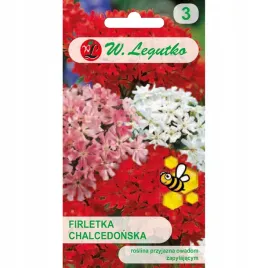 firletka-chalcedonska-mieszanka-bylina-nasiona