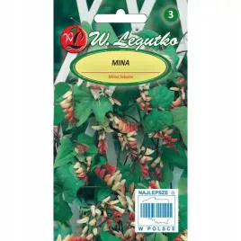 mina-pnacze-do-5m-wysokosci-czerwono-zolta-nasiona