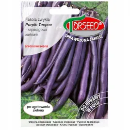 fasola-fioletowa-purple-teepee-niskopienn-wczesna-nasiona-30g-torseed