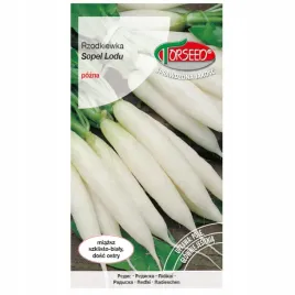 rzodkiewka-sopel-lodu-biala-ostry-smak-nasiona-10g-torseed