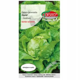 salata-mrozoodporna-humil-glowiasta-maslowa-zimujaca-nasiona-torseed
