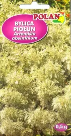 bylica-piolun-nasiona-aromatyczna-roslina-gorzki-smak-polan