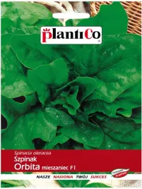 szpinak-orbita-tworzy-duze-rozety-mieszaniec-f1-nasiona-plantico