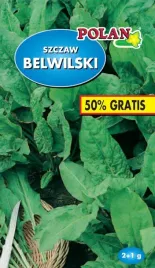 szczaw-belwilski-wieloletni-nasiona-dobrze-i-obficie-plonuje-polan
