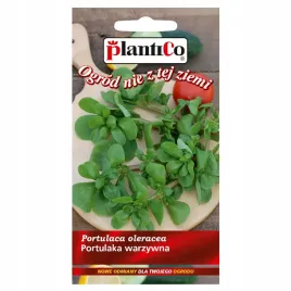 portulaka-warzywna-jadalne-lodygi-i-liscie-05g-nasiona-plantico