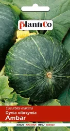 dynia-olbrzymia-ambar-do-przechowywania-nasiona-5g-plantico