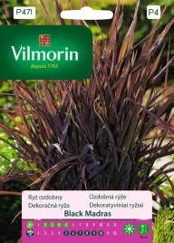 ryz-ozdobny-black-madras-nasiona-1g-ciemne-purpurowe-liscie-vilmorin