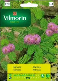 mimoza-wstydliwa-nasiona-ozdobna-roslina-wieloletnia-vilmorin