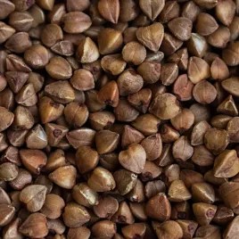 gryka-na-poplon-nasiona-c-1-kwalifikat-1kg