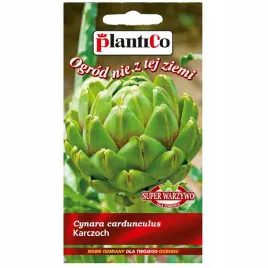 karczoch-vert-de-provence-super-warzywo-nasiona-1g