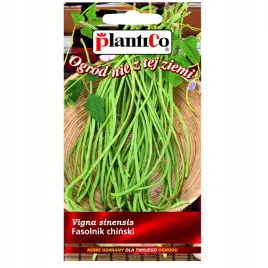 fasolnik-chinski-do-3m-wysokosci-nasiona-plantico