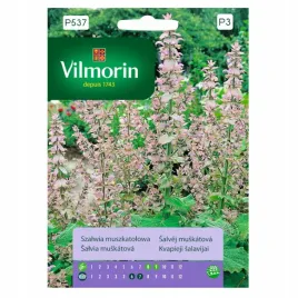 szalwia-muszkatolowa-ozdobna-ziola-nasiona-1g