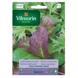 salatka-orientalna-szybka-zestaw-ziol-nasiona-2g