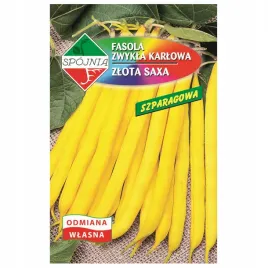 fasola-zlota-saxa-odmiana-wczesna-nasiona-50g