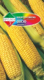 kukurydza-cukrowa-wczesna-gucio-f1-plenna-slodka