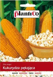 kukurydza-pekajaca-jantar-10g-na-popcorn-nasiona