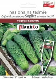 ogorek-soplica-f1-na-tasmie-5m-bardzo-plenny