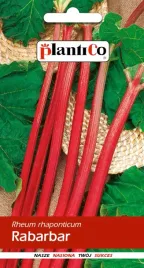 rabarbar-lider-nasiona-plenny-dobrze-zimujacy