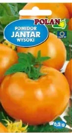 pomidor-jantar-wczesny-owoce-do-600g-nasiona