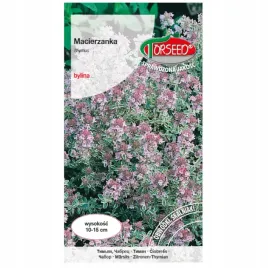 macierzanka-piaskowa-purpurowa-nasiona-kwiatow