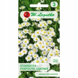 stokrotka-lakowa-biala-nasiona-kwiatow