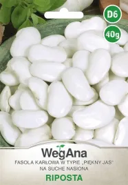 fasola-wielkokwiatowa-karlowa-na-nasiona-riposta