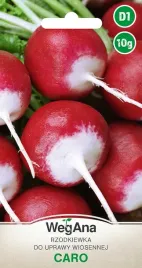 rzodkiewka-wczesna-caro-wegetacja-33-dni-nasiona