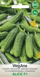 ogorek-konserwowy-alice-f1-brak-goryczki-nasiona