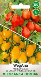 pomidor-mix-odmian-cherry-owoce-ksztalt-gruszki