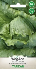 salata-lodowa-do-wiosennej-uprawy-tarzan